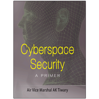 Cyberspace Security:  A Primer