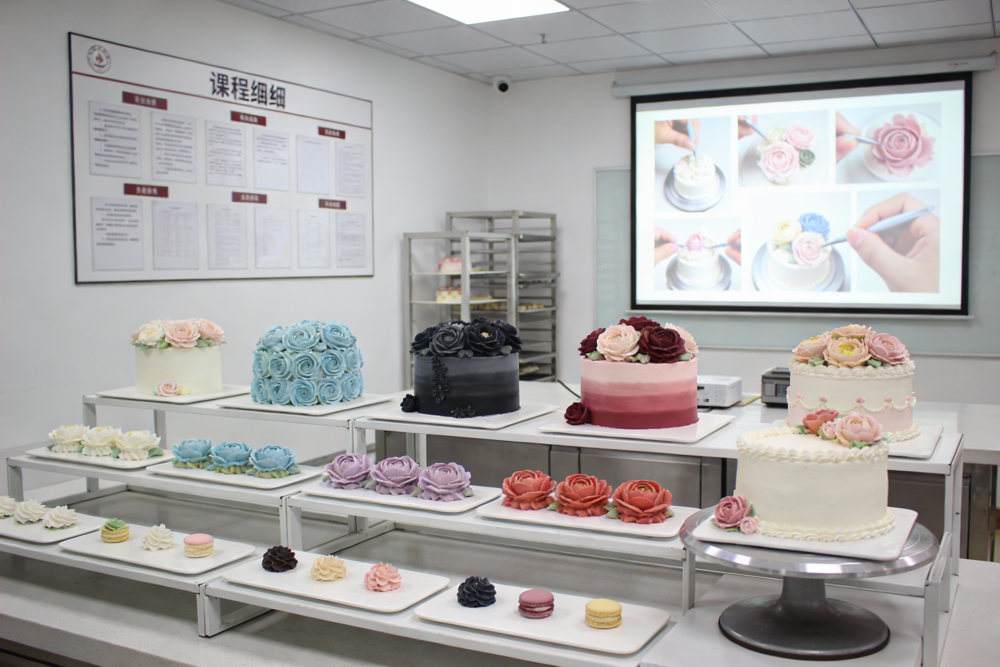 系统全面的课程体系